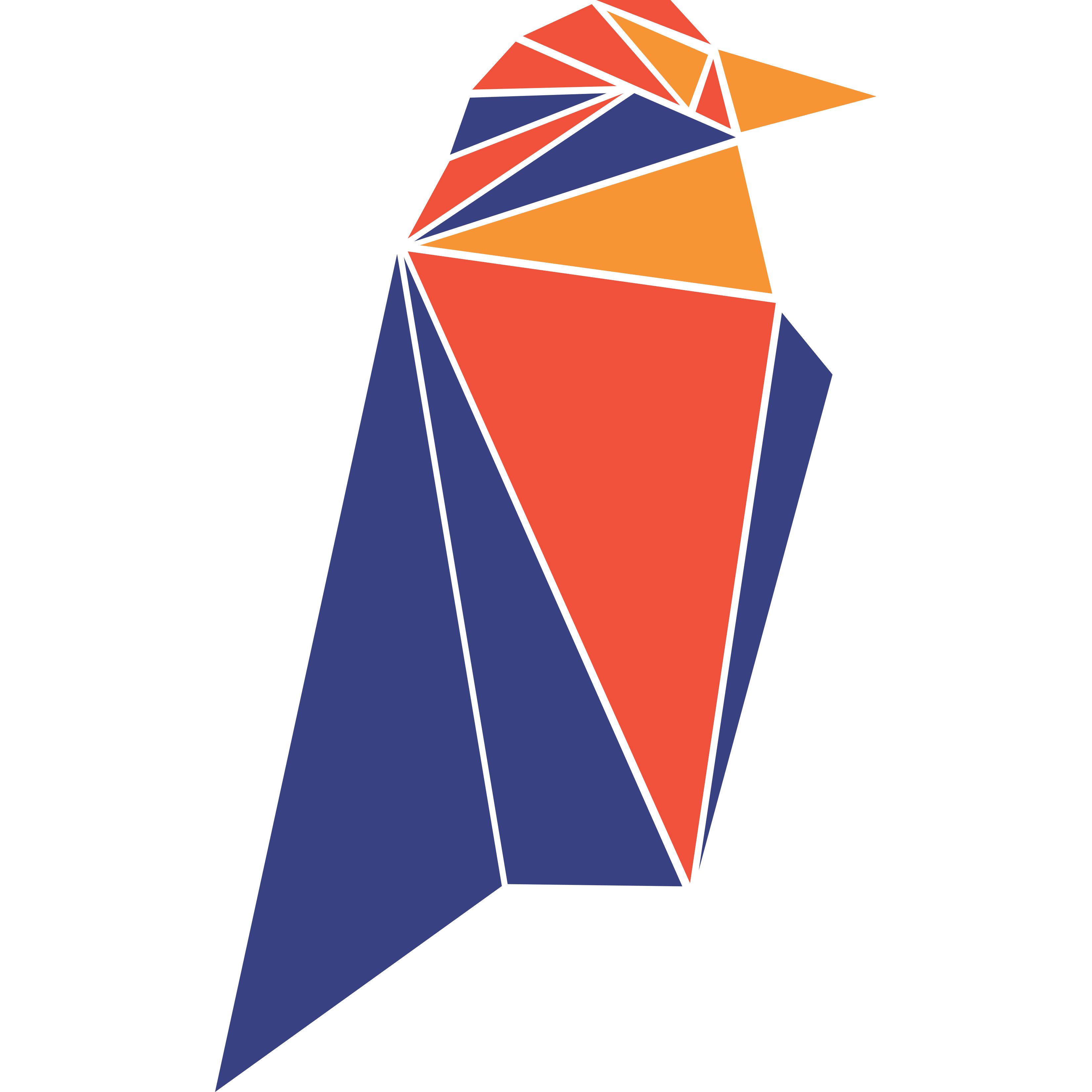 Ravencoin RVN